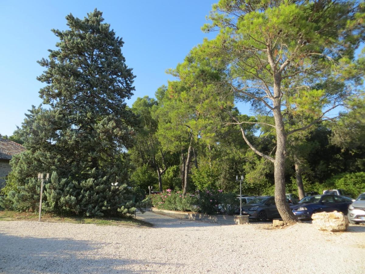 Les Studios-Hotel De Sommières Dış mekan fotoğraf